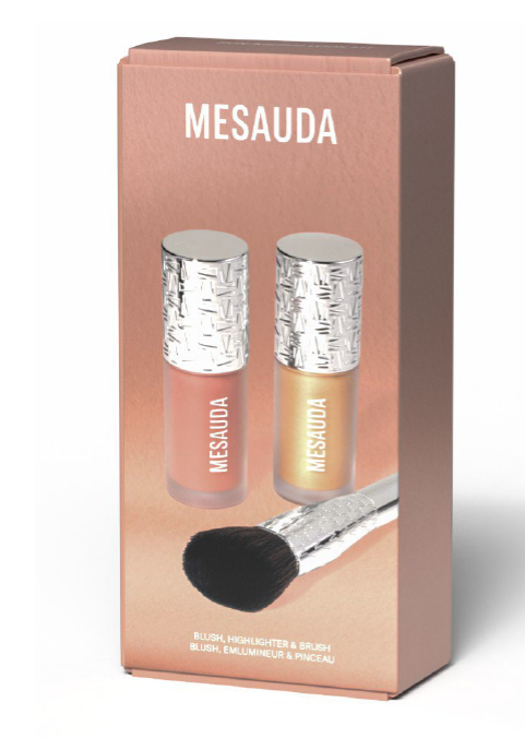 3 x FACE KIT - BLUSH + HIGHLIGHT + BRUSH