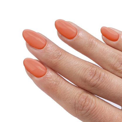 SHINE N' WEAR NAIL POLISH (N°1 - 80) - NAGELLAK