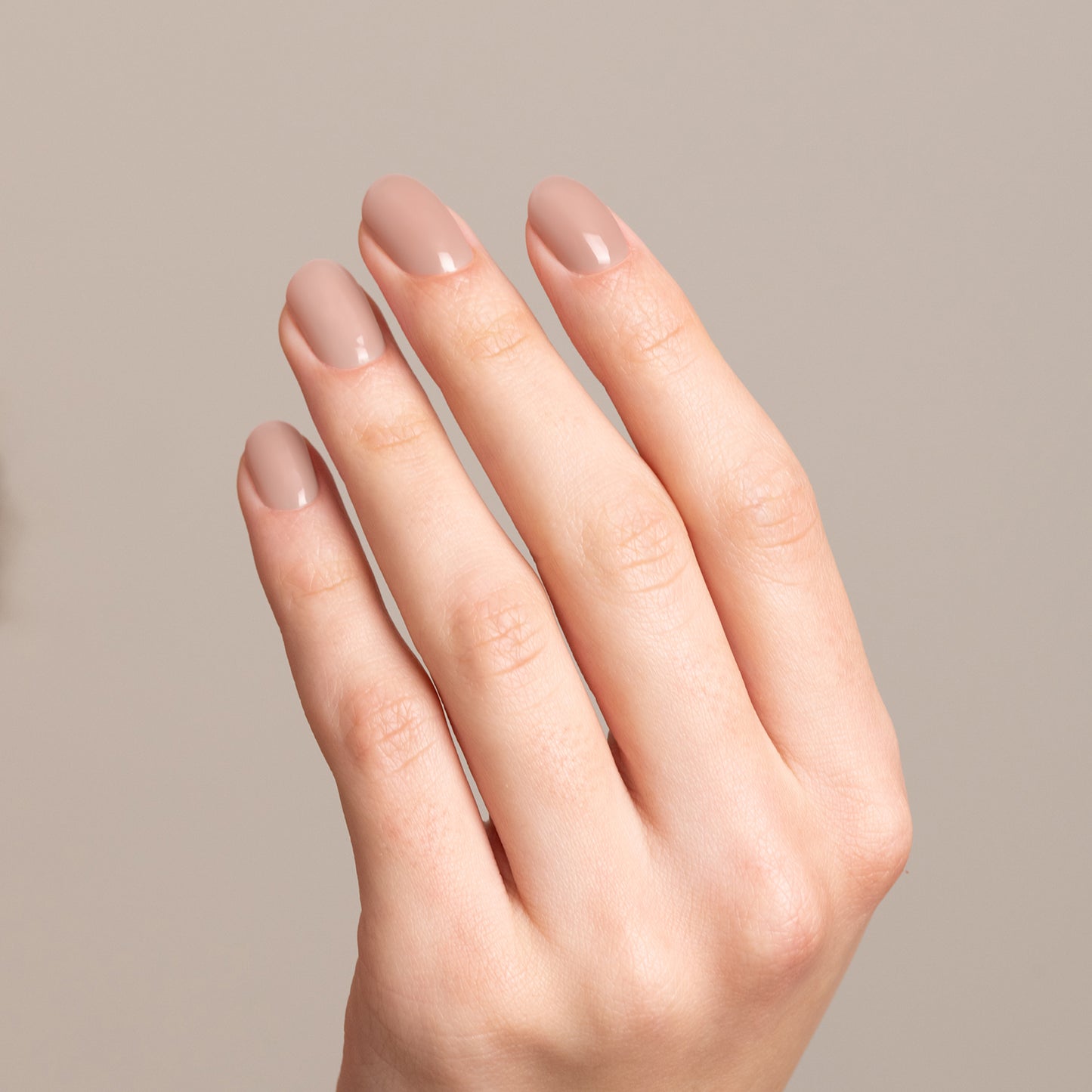 GELEGANT™ - 304 CLASSIQUE