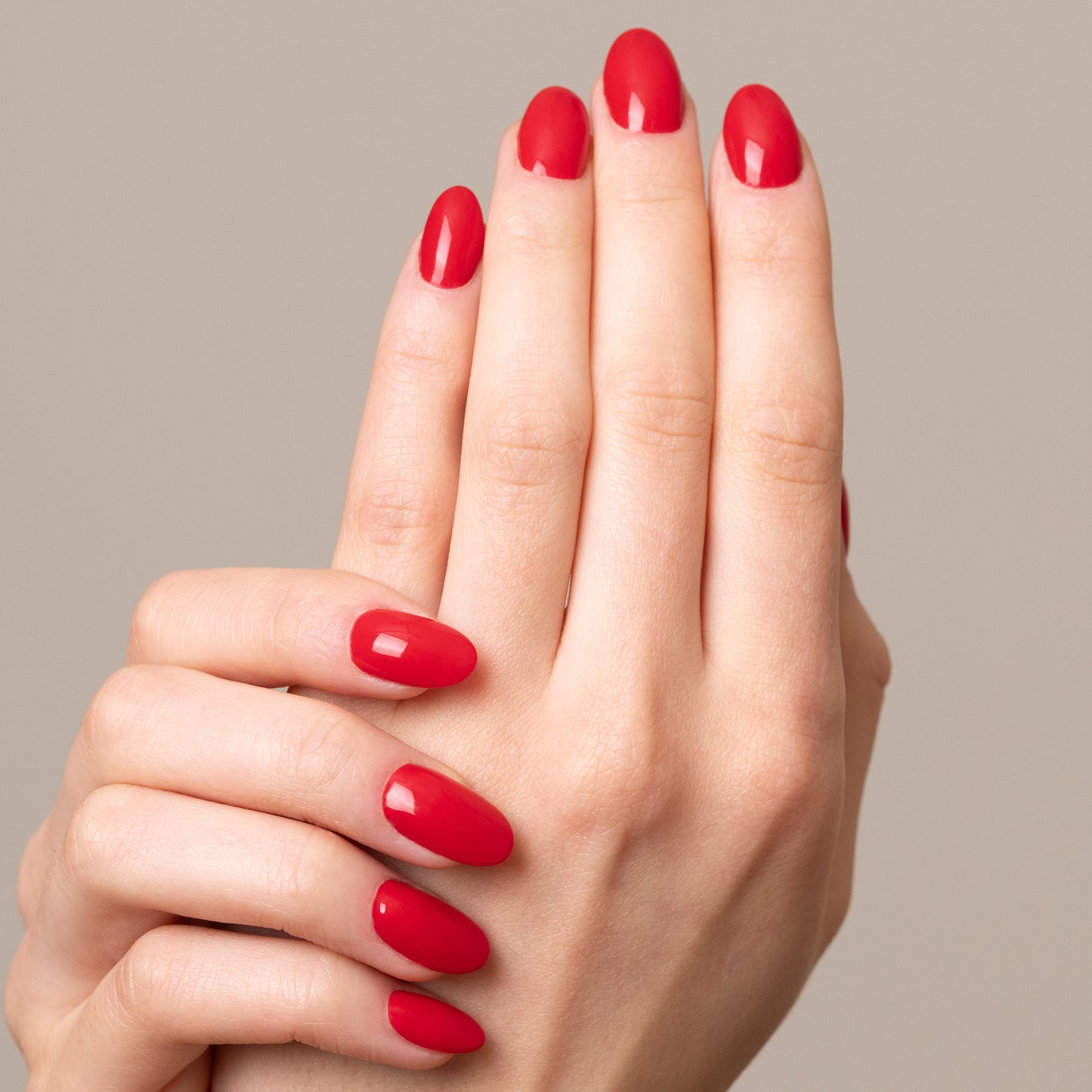 GELEGANT™ - 510 POPPY