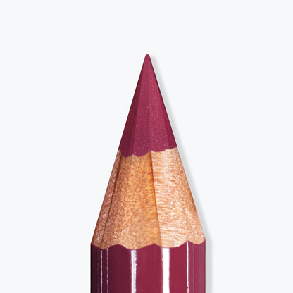 ARTIST LIPS