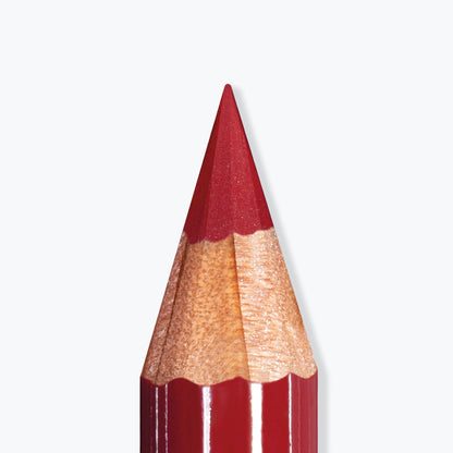 ARTIST LIPS