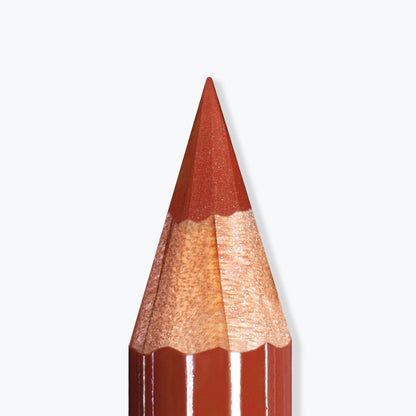 ARTIST LIPS