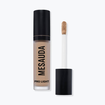 CORRECTEUR PRO LÉGER 
